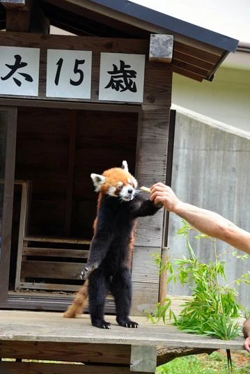🦁 치바 시립 동물공원 (치바시 도부츠코엔) 이미지 1